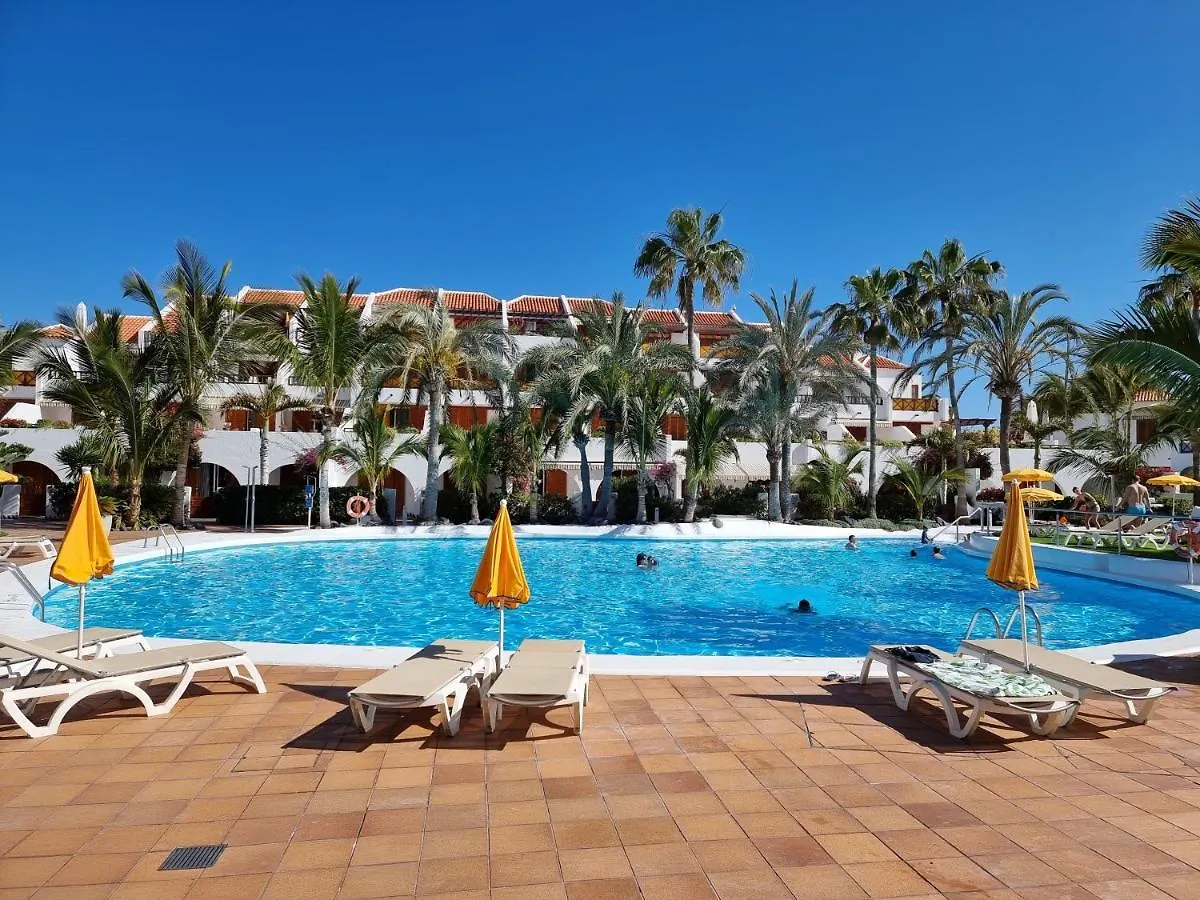 بلايا ذي لاس أميريكاس Studio Apartment No 1 Directly On The Beach And Sea, Terrace, Heated Pool, Wifi إسبانيا