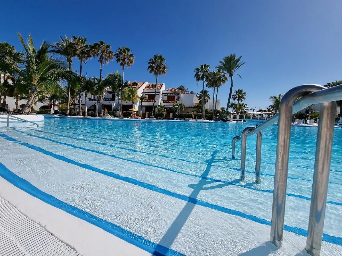 بلايا ذي لاس أميريكاس Studio Apartment No 1 Directly On The Beach And Sea, Terrace, Heated Pool, Wifi  بلايا ذي لاس أميريكاس