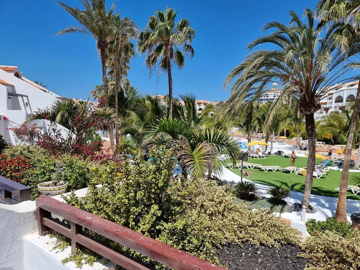 بلايا ذي لاس أميريكاس Studio Apartment No 1 Directly On The Beach And Sea, Terrace, Heated Pool, Wifi إسبانيا