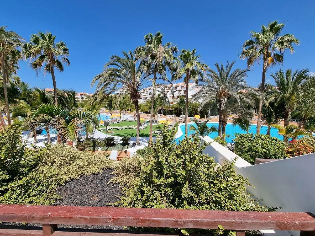 بلايا ذي لاس أميريكاس Studio Apartment No 1 Directly On The Beach And Sea, Terrace, Heated Pool, Wifi بلايا ذي لاس أميريكاس