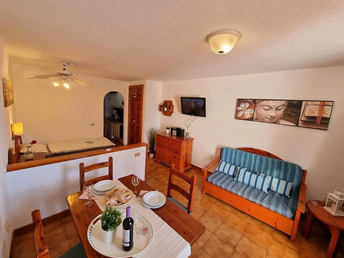 بلايا ذي لاس أميريكاس Studio Apartment No 1 Directly On The Beach And Sea, Terrace, Heated Pool, Wifi إسبانيا