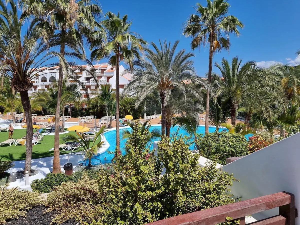 Studio Apartment No 1 Directly On The Beach And Sea, Terrace, Heated Pool, Wifi Playa de las Americas
