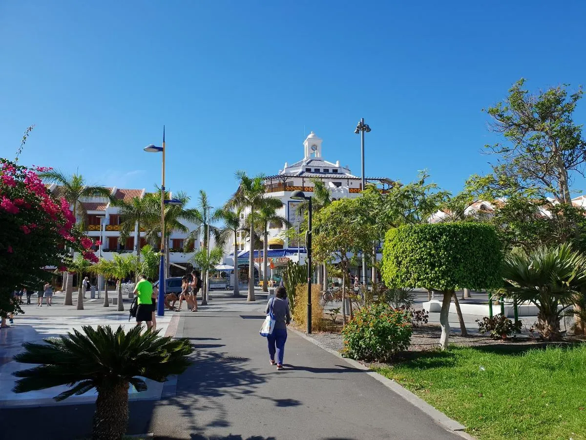 Studio Apartment No 1 Directly On The Beach And Sea, Terrace, Heated Pool, Wifi Playa de las Americas